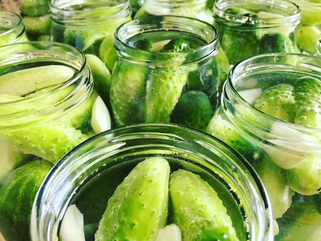 Are Pickles Healthy or Harmful? The Debate Still Rages.