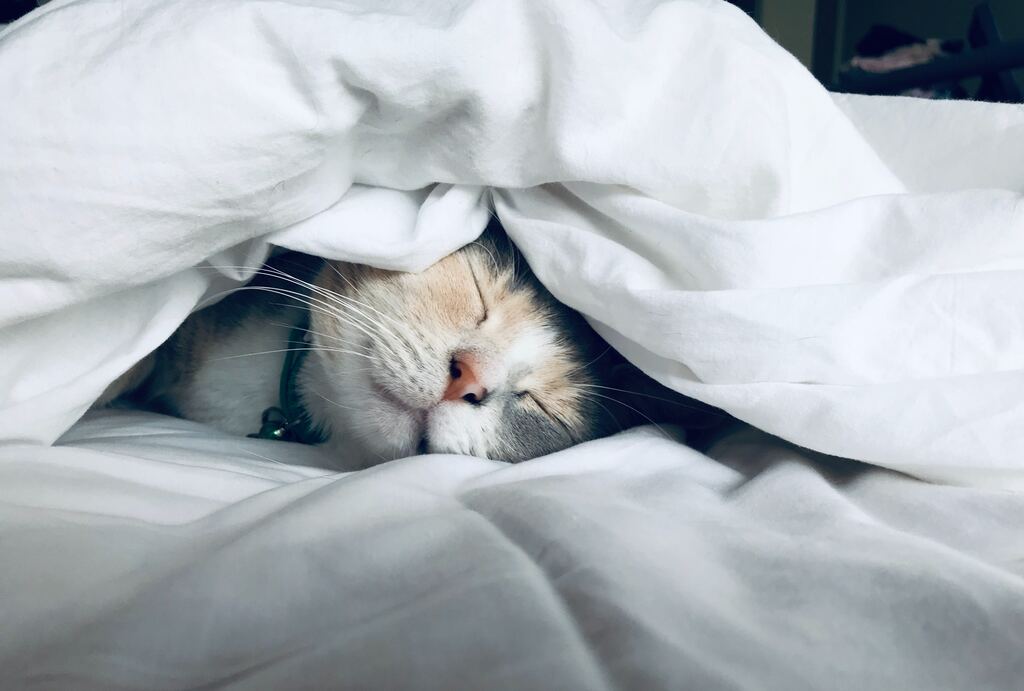 The 4 Basics Of Sleep Tracking