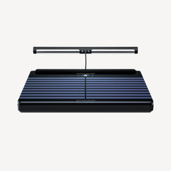 Body Scan — Black — Three-quarter front view on white background, connected scale with wired upper scanning bar — black, three-quarter, neutral background, sensor bar