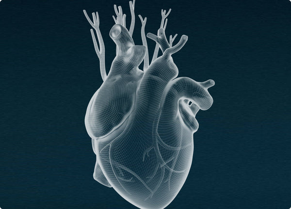 About AFib