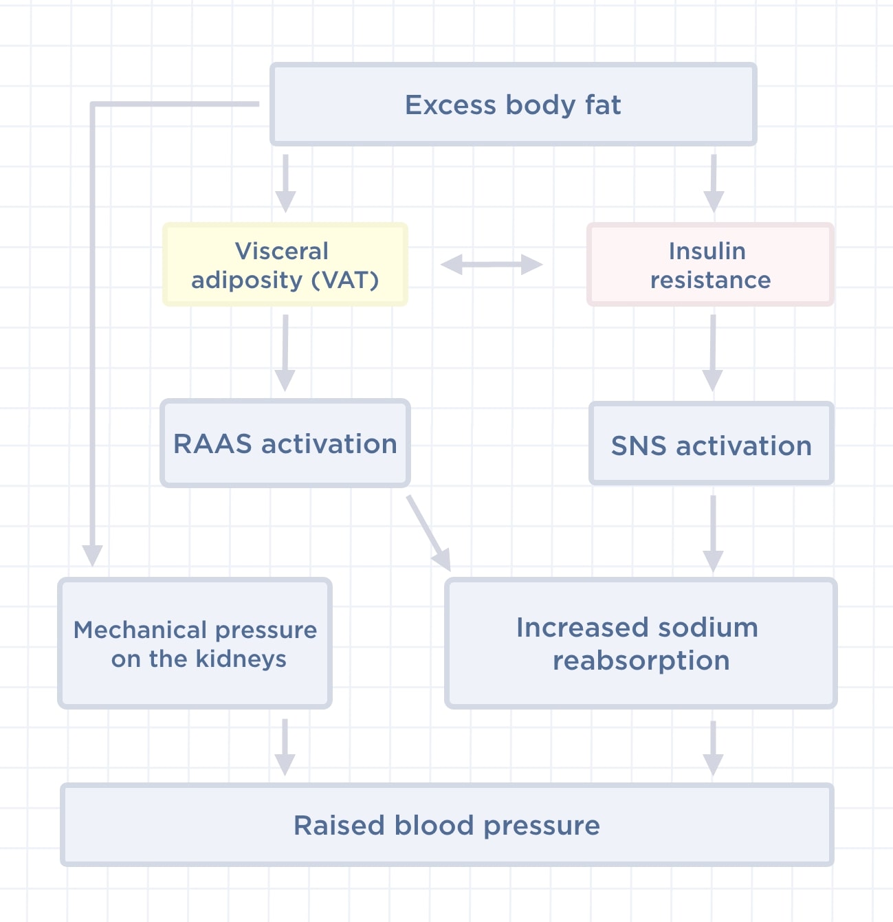 overweight but blood pressure is klow Weight and Pressure: How Obesity Affects Hypertension – Withings vegan-product ghk cu joint pain Quantity:14 servings
