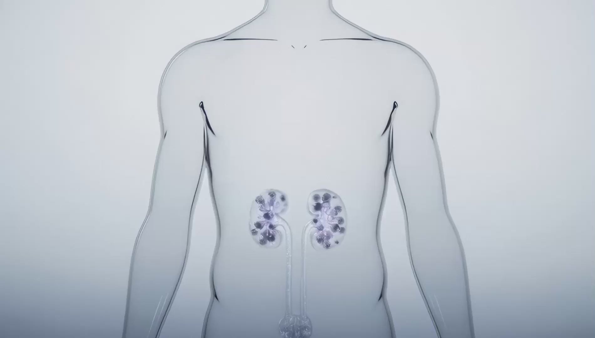 migration:health-insights